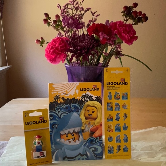 🦈 📚LEGOLAND  NOTEBOOK  BUNDLE 🦈📚 - Picture 4 of 16